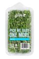 Herbs: Thyme .75 OZ 8ct