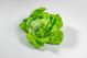 Lettuce: Bibb Loose 12ct