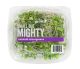 Microgreens: Kohlrabi 2oz