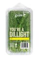 Herbs: Dill - 0.75oz 8ct